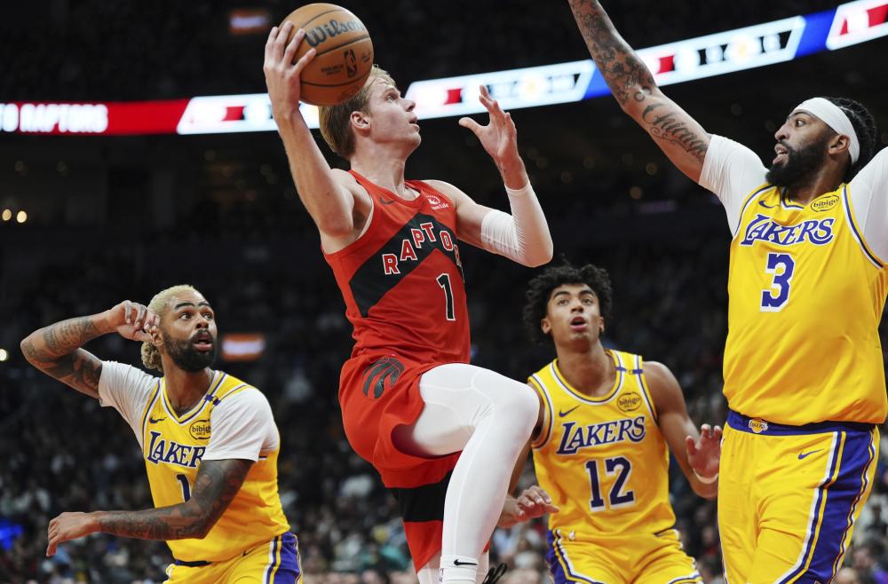 的张本智和 的张本智和